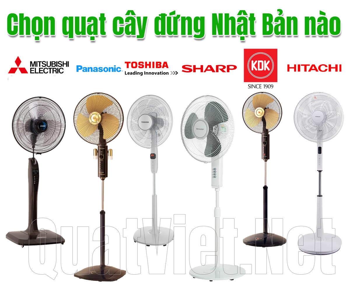 Mua quạt cây đứng Nhật Bản loại nào tốt