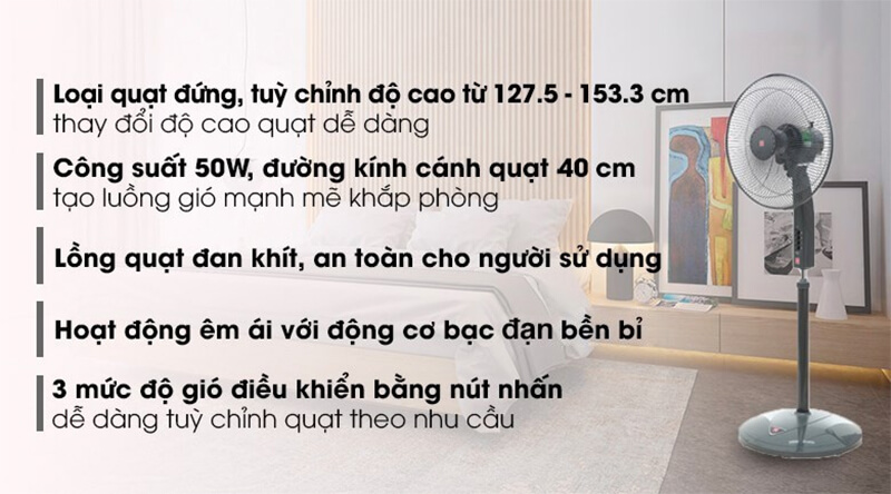 Thiết kế hiện đại sang trọng