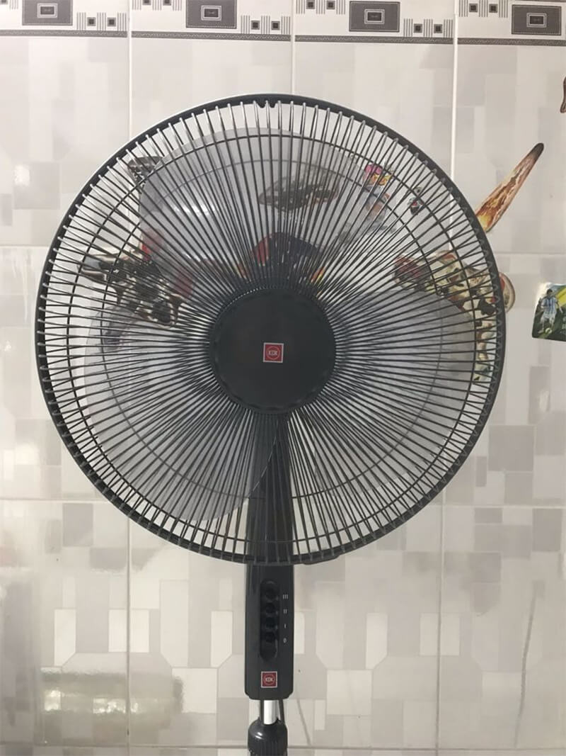 Trang bị động cơ mô tơ đồng nguyên chất, trục bạc đạn siêu bền