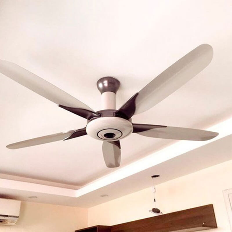 Thiết kế 5 cánh hiện đại
