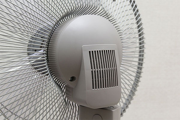 Động cơ bạc đạn – vận hành êm ái và bền bỉ