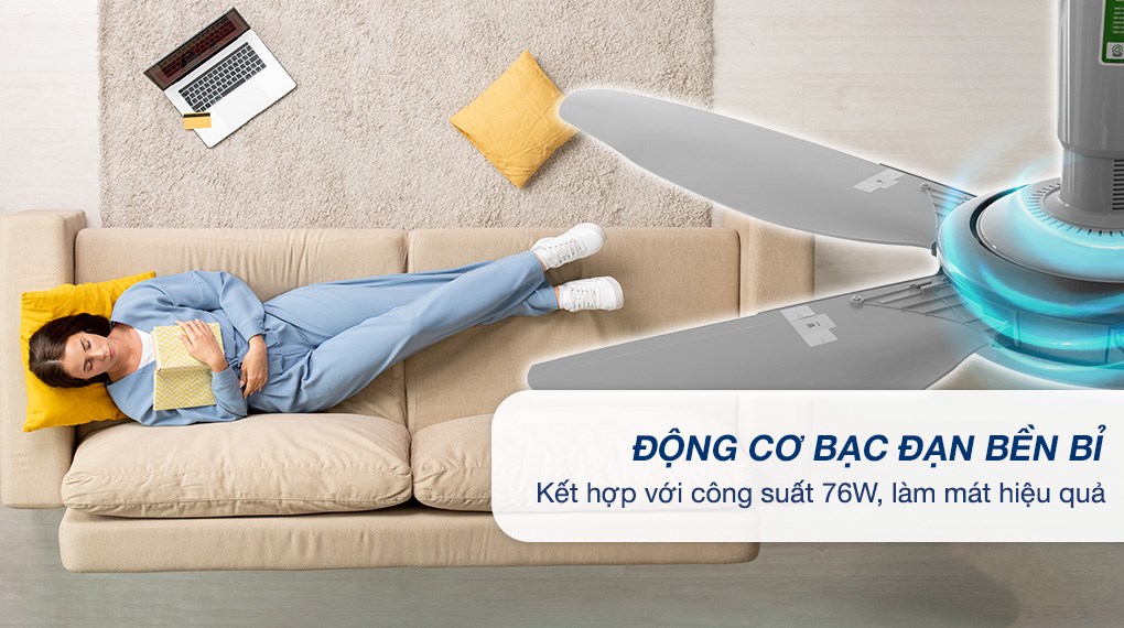 Động cơ DC bạc đạn – vận hành êm ái, tuổi thọ cao