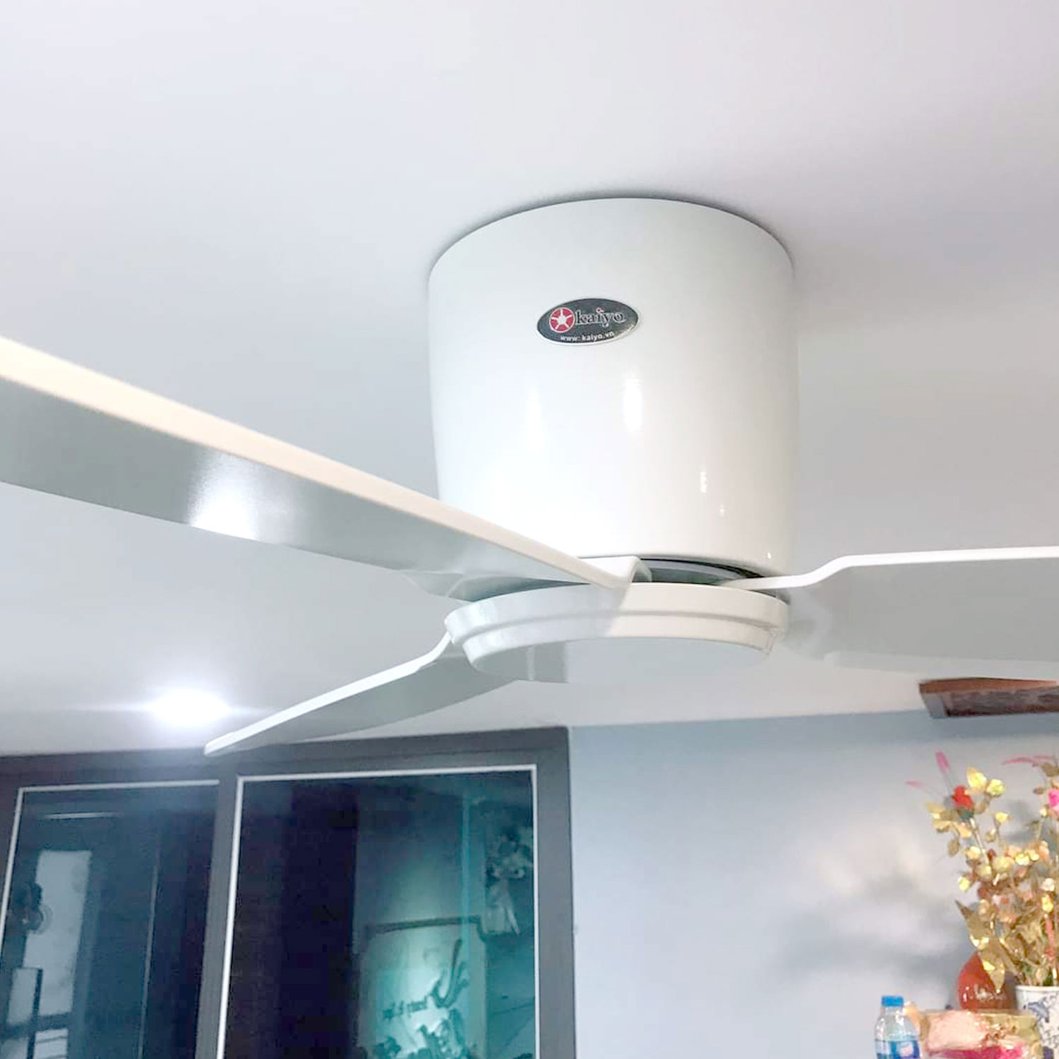 Thiết Kế Dành Riêng Cho Trần Nhà Thấp - ảnh thực tế