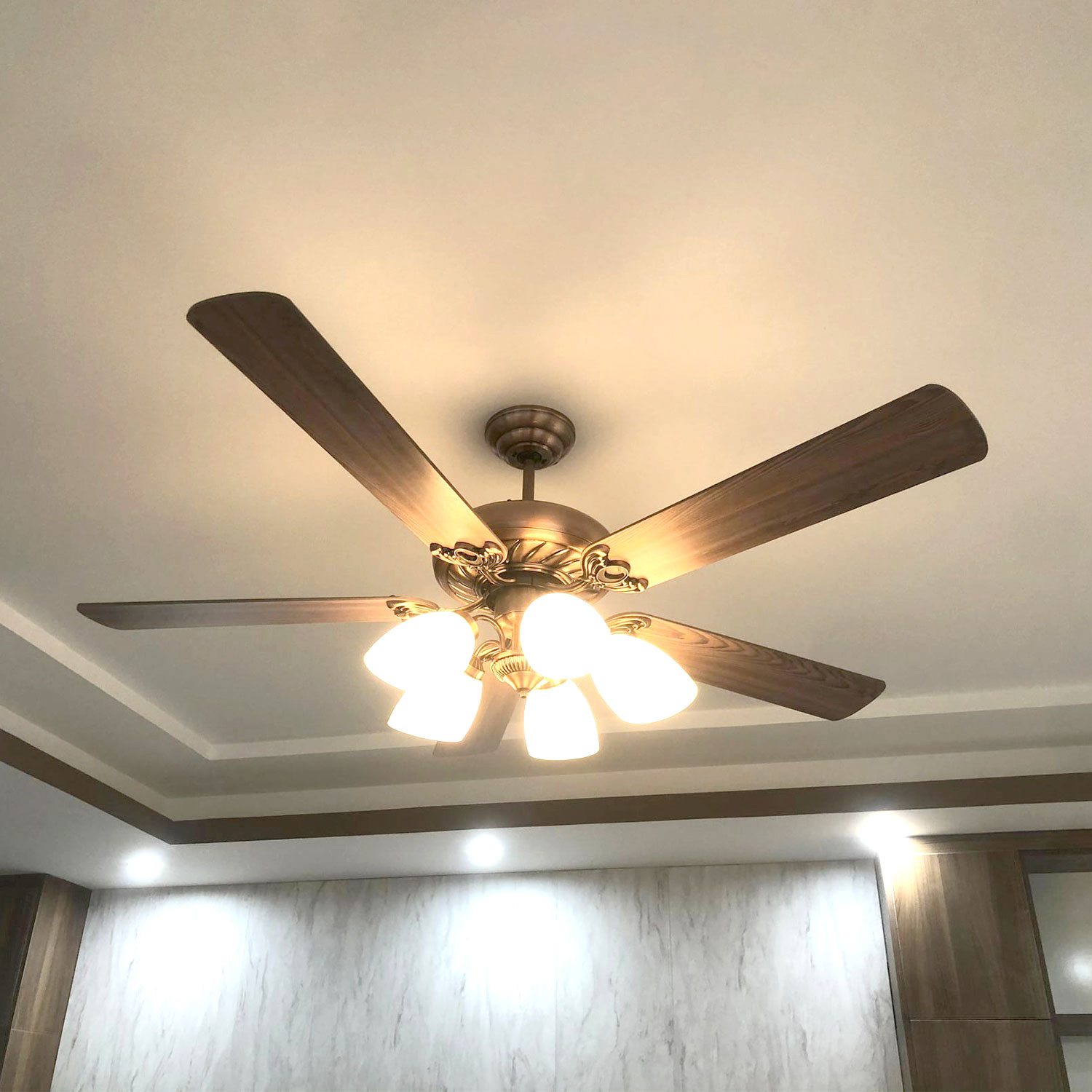 Quạt trần đèn Kaiyokukan TOKY-5025 - ảnh thực tế