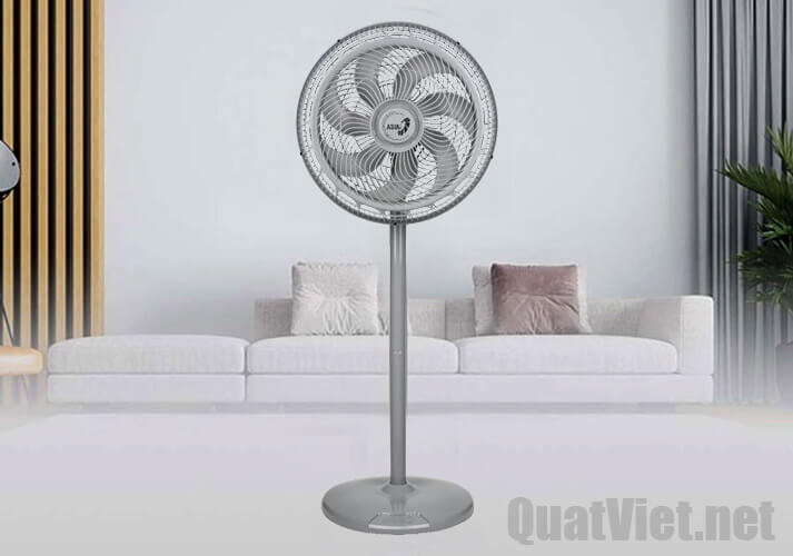 Quạt Cây Turbo Decor ASIAVINA VY659991